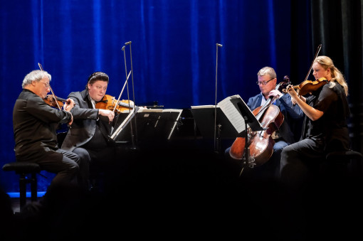 '24.11.17. | kamara.hu/6