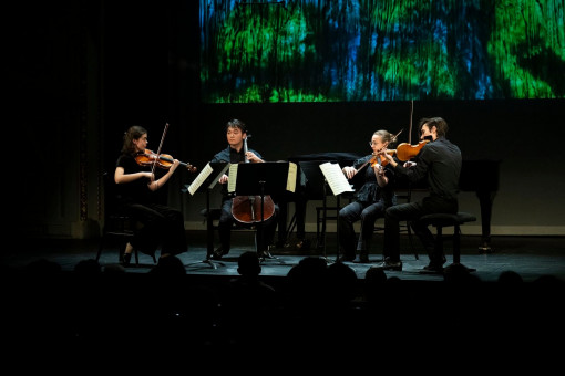 A Zeneakadémia műhelyei